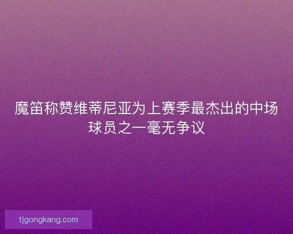 魔笛称赞维蒂尼亚为上赛季最杰出的中场球员之一毫无争议